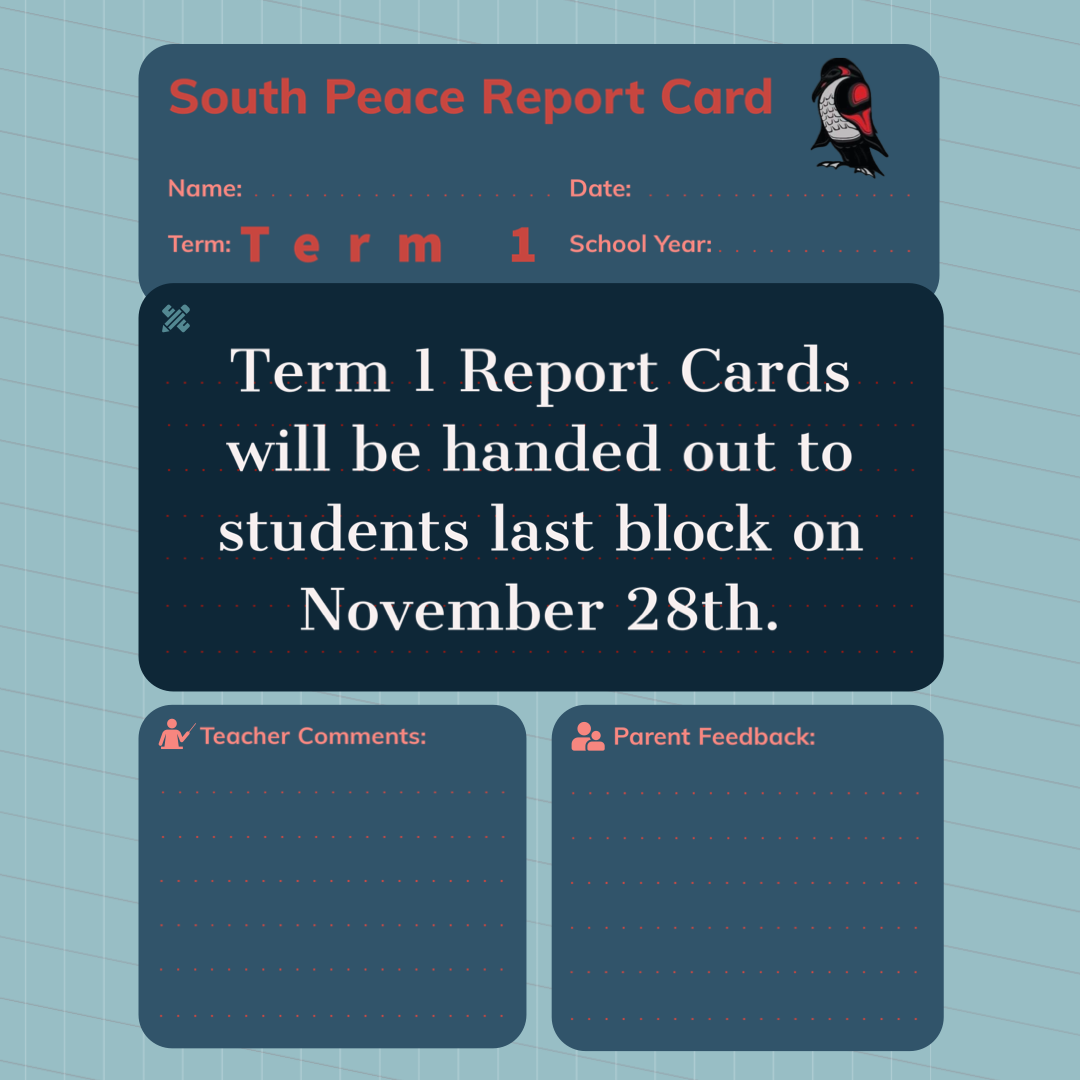 Term 1 Report Cards