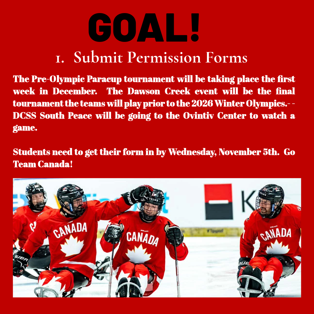 2025 Para Hockey Cup: Permission Forms Required!